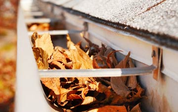 Carr gutter cleaning companies