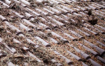 Carr roof cleaning companies