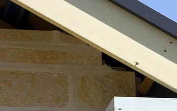 soffit repair Carr